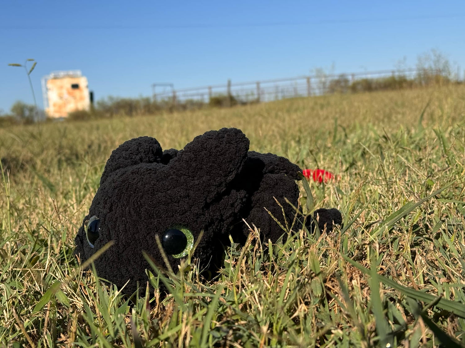 Stuffed Animals/Characters